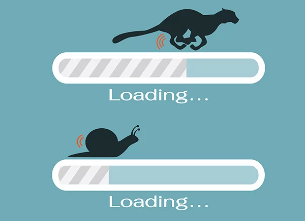 litespeed web hosting