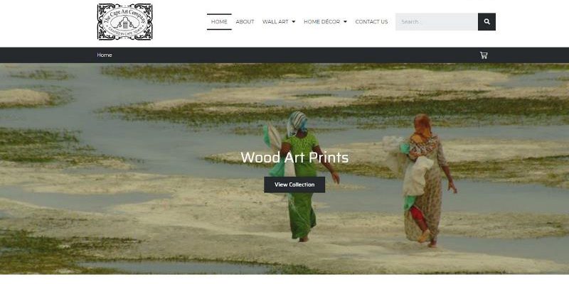 The Cape Art Company